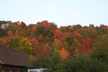 View of foliage to the east of the house